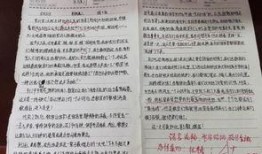 教师的日记在线观看,窥见教育一线的真情实感